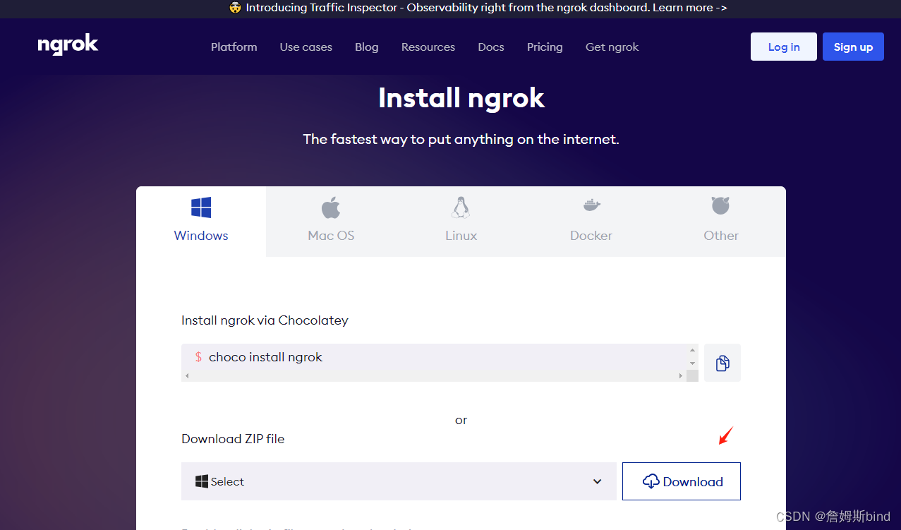 ngrok