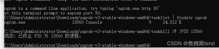 ngrok